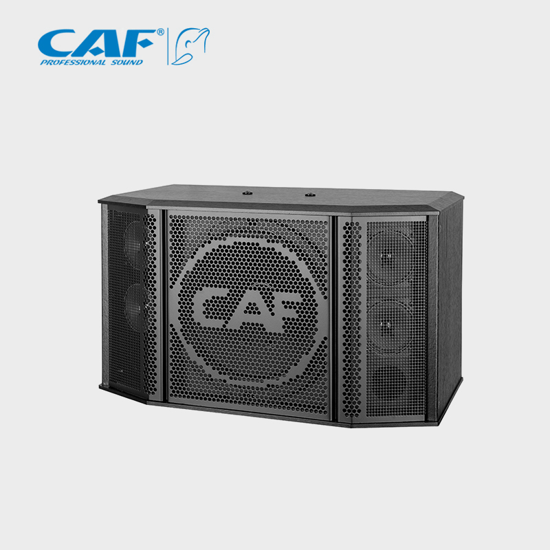 CAF卡福會(huì)議音箱專業(yè)KTV音響10寸卡包音箱家庭KTV音響